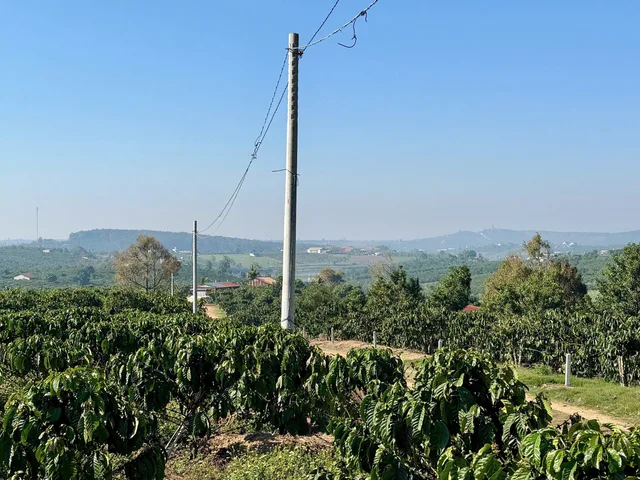 Bán đất 1200m² có sẵn 100m² thổ cư ngang 10m giá 900 triệu tại Xã Phúc Thọ Lâm Hà
