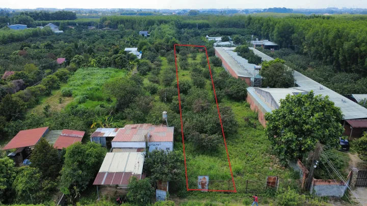 Chính chủ bán đất tại Phường Tân Triều, Vĩnh Cửu, Đồng Nai (xã Bình lợi cũ )