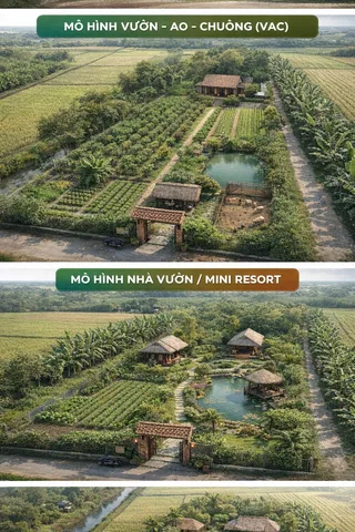 📍 Bán đất vườn diện tích lớn – khu dân cư, tiềm năng mở rộng đường ( GÒ CÔNG- TIỀN GIANG ) 
 • Diện tích: ~940m²
 • Pháp lý: Sổ riêng, công chứng ngay
 • Loại đất: Đất trồng cây lâu năm

🌾 Hiện trạng: ĐANG TRỒNG LÚA. đất bằng phẳng – dễ cải tạo sử dụ