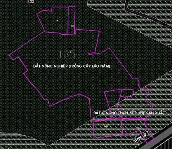 Bán đất 59000m² có sẵn 200m² thổ cư ngang 20m giá 850 tỷ tại Xã An Nhơn Tây