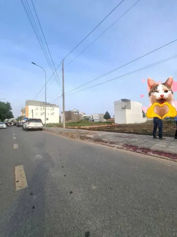 Đất chính chủ, mua CC ngay