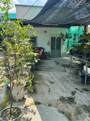 Bán nhà 127m² full thổ cư ngang 5m giá 1.05 tỷ tại Xã Đức Hòa