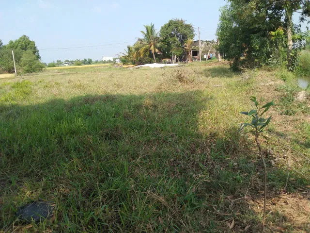Bán đất đẹp tại Ấp Chánh 2 lô liền kề, 2,3 tỷ, 332 m2, pháp lý đầy đủ