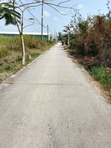 ĐẤT ĐẸP – GIÁ TỐT  – CHÍNH CHỦ CẦN BÁN GẤP Tại Xã Phước Đông, Huyện Cần Đước, Long An