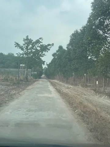 DT : 200m2 có sẳn 100m2 thổ cư giá 585 tr mặt tiền vành đai KCN Becamex đường số 29 chuẩn bị lên nhựa