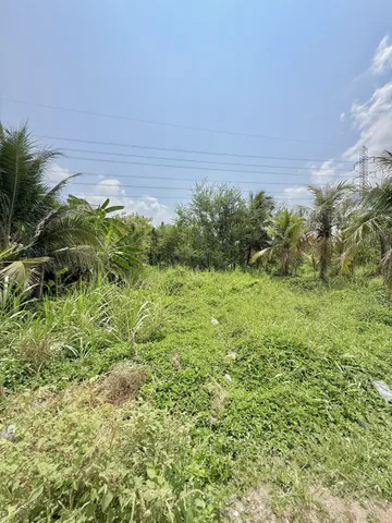 🌿🔥 ĐẤT VƯỜN NỞ HẬU ĐẸP – TRUNG AN – GIÁ MỀM 🔥🌿