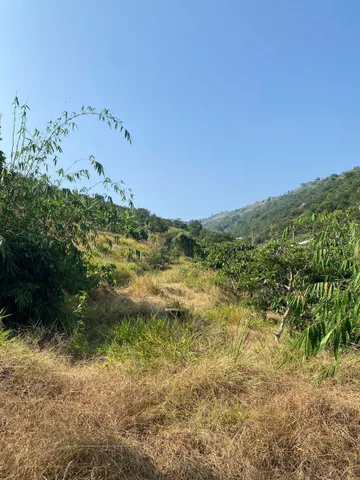 🔥 CHỦ CẮT LỖ – 2 LÔ VIEW THÔNG – GẦN QL55 – GIÁ CHỈ 750TR/1000M² 🔥

💰 𝗚𝗶𝗮́: 𝟳𝟱𝟬𝗧𝗥 / 𝟭.𝟬𝟬𝟬𝗺² (𝗴𝗶𝗮́ 𝗰𝗮̆́𝘁 𝗹𝗼̂̃)
📏 𝗗𝗶𝗲̣̂𝗻 𝘁𝗶́𝗰𝗵:
📐 Lô 1: ~𝟭.𝟮𝟬𝟬𝗺²
📐 Lô 2: ~𝟭.𝟰𝟬𝟬𝗺²
🏡 Thổ cư: mỗi lô có 100m² đất ở

📐 Kích thước chung: 10m x 85m – nở hậu 20m