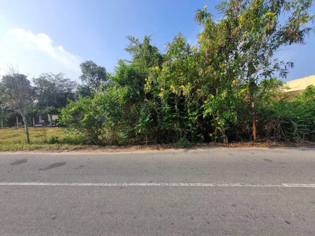 (S877) Đất mặt tiền Phạm Thị Thàng, xã Phước Hiệp, dt 147m2, thở cư 136m2, giá 1 tỳ 200