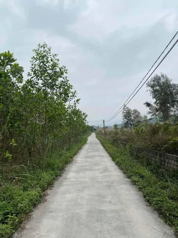 BÁN HƠN 3000 XÃ THỐNG NHẤT,HẠ LONG GIÁ CÓ HƠN 2 TỶ CHÚT