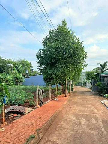 Bán đất 102.1m² có sẵn 100m² thổ cư ngang 5.0m giá 1.65 tỷ tại Phường Ea Kao
