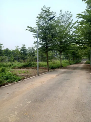 BÁN ĐẤT CỔ ĐÔNG - ĐƯỜNG 2 TẢI TRÁNH