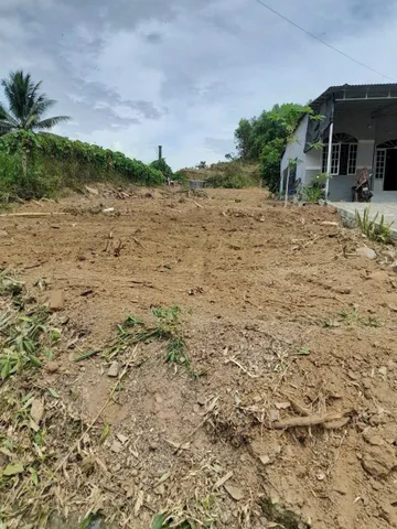 Cần bán lô đất mặt tiền Tỉnh Lộ 8 Khánh Đông . Diện tích 1156 m2 có 200m2 thổ cư . Giá chỉ 1,6 tỷ