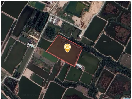 Bán đất 7775.8m² có sẵn 0000m² thổ cư giá 15 tỷ tại Xã An Thới Đông