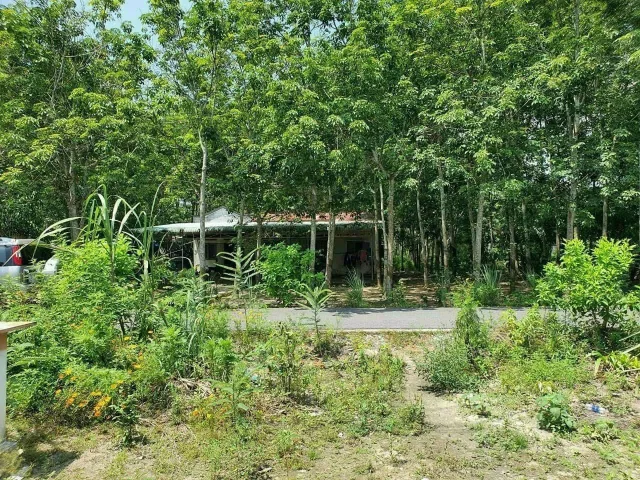Bán đất xã Thanh An (Dầu Tiếng cũ), 351.4 m2