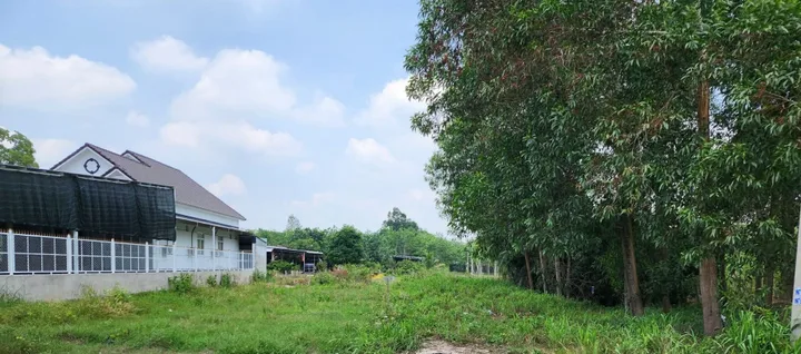 Bán 336,8m2 đất Thanh An sẵn 100m2 TC