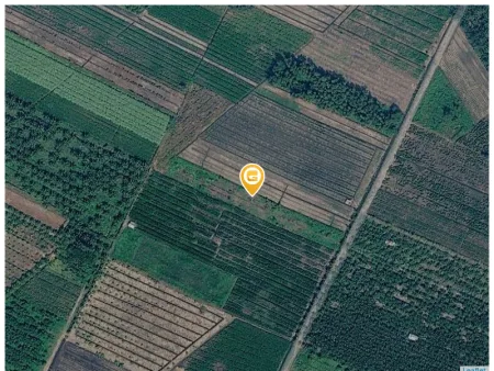 Bán đất 3100m² ngang 15m giá 8 tỷ tại Xã Bình Lợi