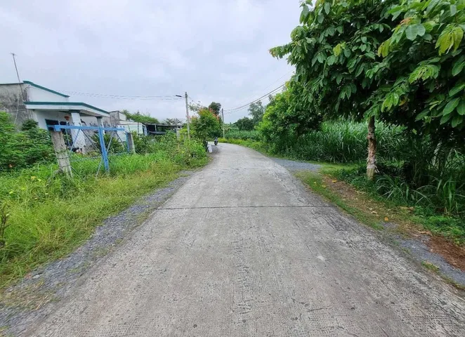 Bán đất thổ cư sát đường Nguyễn Thị Nê xã Phú Hòa Đông Củ Chi TPHCM, DT: 21x49m.