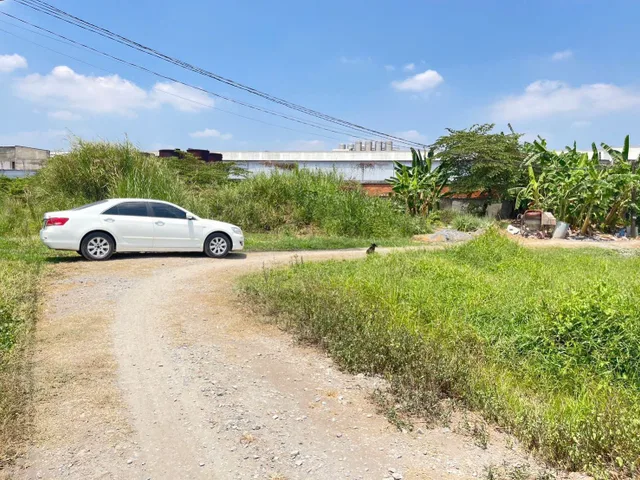 Lô góc 376m2 (19x20) full thổ, 1/ Gò Hưu, Mỹ Hạnh Nam, Đức Hoà, Long An, giá 4.5 tỷ