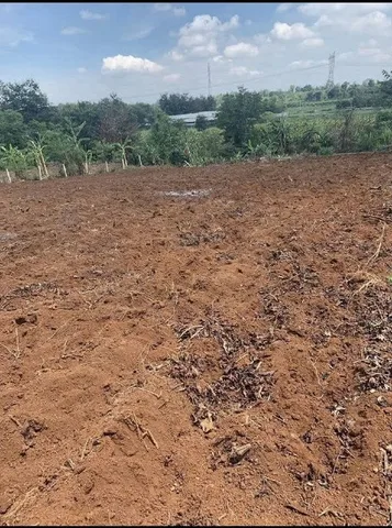Đất nông nghiệp