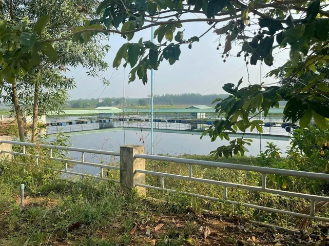 Bán đất 250m² có sẵn 100m² thổ cư ngang 5m giá 450 triệu tại Xã Nha Bích