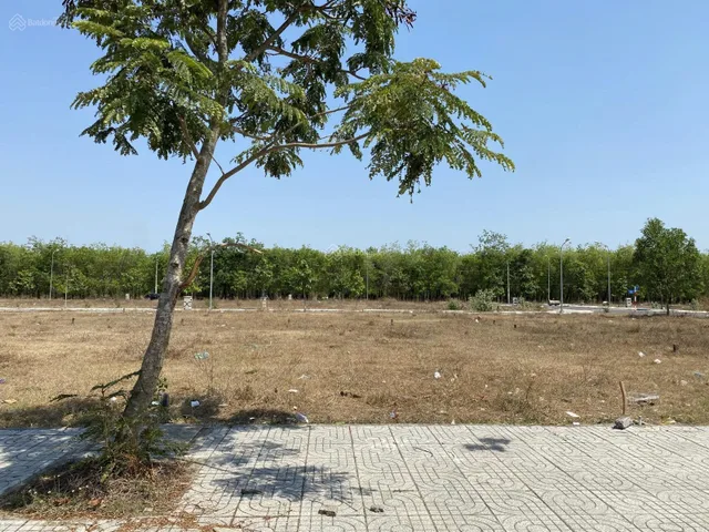 CẦN BÁN LÔ ĐẤT NẰM NGAY MẶT TIỀN ĐƯỜNG,GẦN CHỢ ĐẠI PHƯỚC,GIÁ ƯU ĐÃI