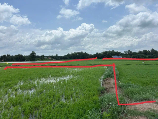 Cần Bán 3 miếng đất ruộng  liền kề ven sông tại ấp 3, xã Tân Phước Tây, huyện Tân Trụ, Long An.