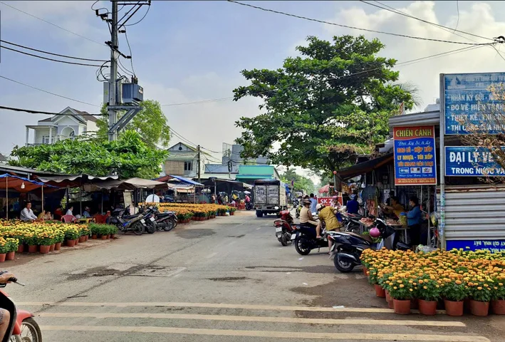 *TP.Thủ Đức (Q9)*
2028m2 - full ODT - 65tỷ (32tr/m2)