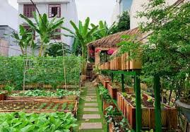Bán đất 795.6m² ngang 16m giá 2.29 tỷ tại Đường Nguyễn Ái Quốc Xã Nhơn Trạch