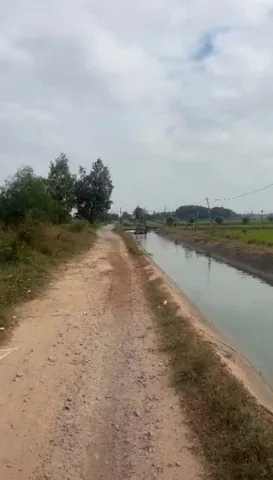 Bán đất gần đường Lộc Giang, thông ra đường Hồ Chí Minh chỉ 2p đi xe, mặt tiền kênh thoáng mát, gần 1 sào đất phù hợp kinh doanh hoặc đầu tư, ngang 17,5x43 mặt tiền kênh cực mát, liên hệ ngay