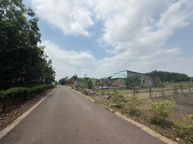 💥 Chủ gửi 1 lô sau chợ Thái Bình - Minh Thạnh - TP.HCM, cách tỉnh lộ DT749B 300m💥