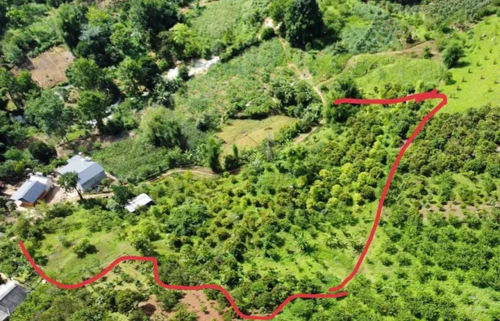🌿 6.000m² – ĐẤT LỚN HIẾM – LÀM HOMESTAY/FARMSTAY SIÊU ĐẸP! 🌿