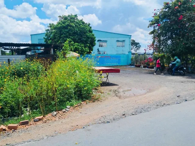 Bán đất 5000m² ngang 40m giá 36 tỷ tại Xã Bình Chánh