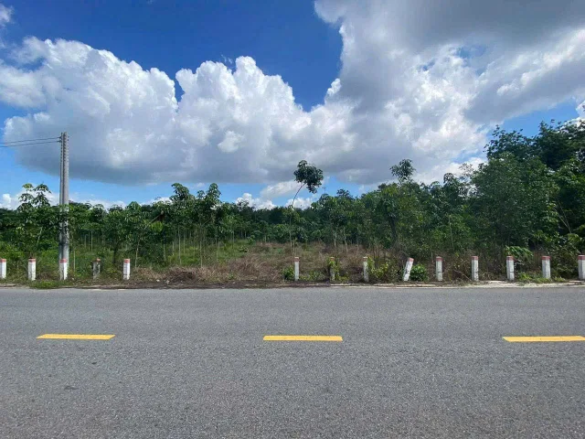 Bán đất 310.3m² có sẵn 100m² thổ cư ngang 5m giá 395 triệu tại Xã Minh Đức