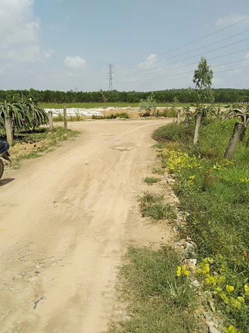 Bán đất 95000m² ngang 140m giá 20 tỷ tại Xã Tân Lập