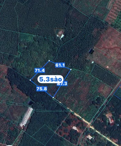 ĐẤT THÀNH PHỐ HỒ CHÍ MINH 415 NGÀN/M2. TIN KHÔNG?