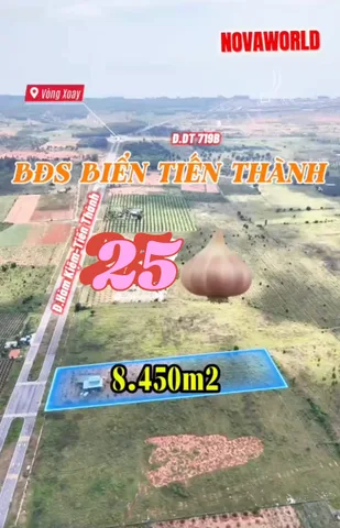 Bán 8450m2 mặt tiền Hàm Kiệm, Tiến Thành. Giá đầu tư 3 triệu/m2.