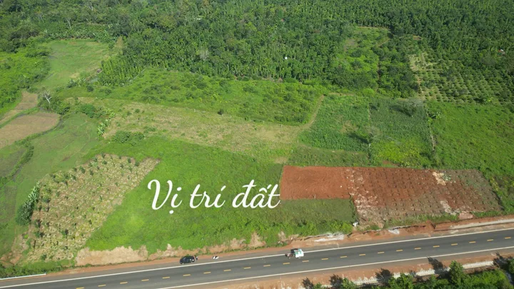 Rẻ quá rẻ Đất Mặt tiền đường Tránh Đông 1ha, 70m mặt tiền đường bán 4tỷ200tr