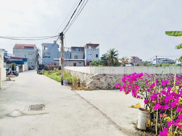 Bán 69m tại Hoa Động - Thuỷ Nguyên - Hải Phòng✅ngõ oto giá cực tốt