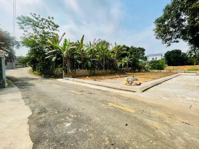 Hơn 1 Tỷ Có Đất Trục Chính – Gần 2 ĐH Sổ Hà Nội-Làm Nhà Trọ Dòng Tiền Ổn Định