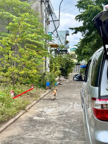 BÁN ĐẤT TĐC ĐẤT LÀNH – VĨNH THÁI, NHA TRANG
✔ Khu cao ráo, không ngập nước
📐 Diện tích: 64m² (4m × 16m)
📕 Sổ hồng TĐC – xây dựng tự do
🌳 Đối diện công viên, không gian thoáng mát
🚗 Cách đường Phong Châu chỉ vài bước
🔥 Ngay cạnh KĐT hỗn hợp Sun Group