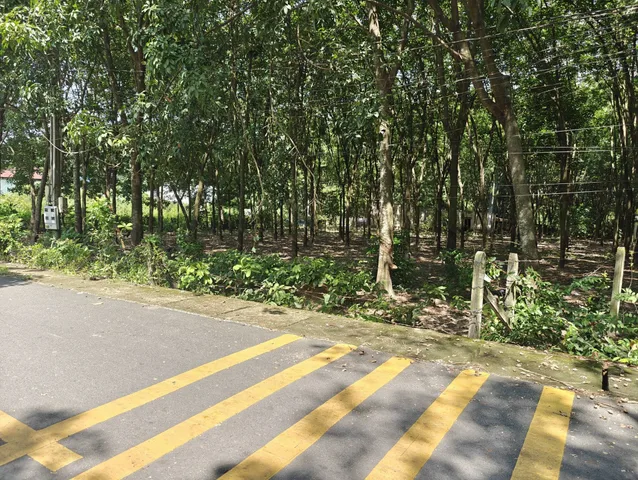 201m2 Đất An Điền , Bến Cát - Ngay Ngã 4 An Điền - Giá chỉ 1 tỷ 280