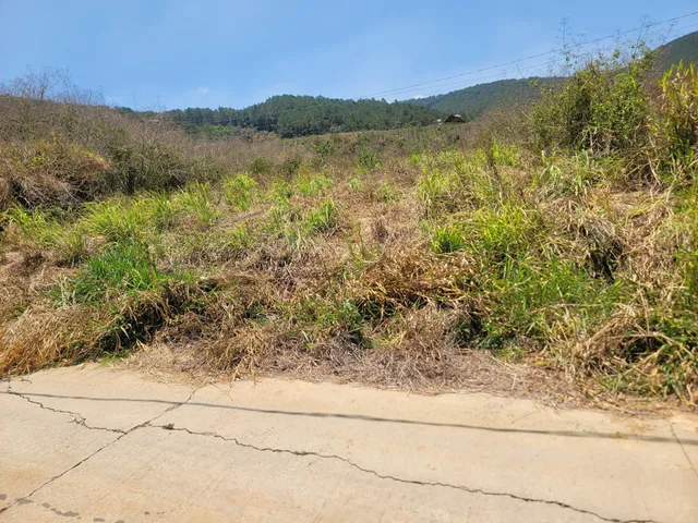 Bán 547 m2 đất Thôn 6 Gia Lâm có 100 tc