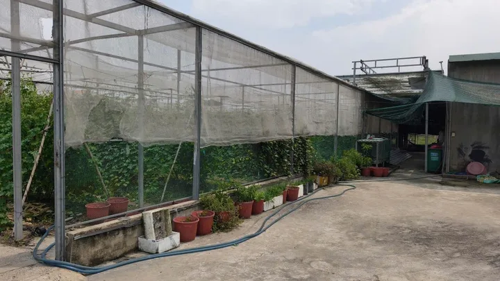 Bán nhà 1000m² có sẵn 200m² thổ cư ngang 25m giá 7 tỷ tại Xã Củ Chi