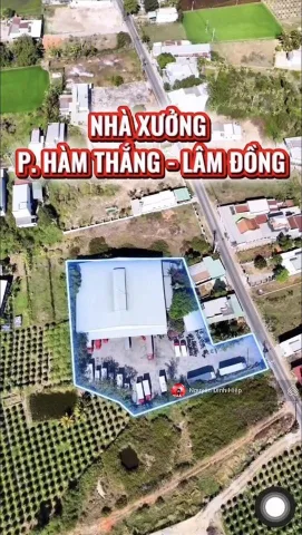 Bán 3988m thổ cư mặt tiền lại an cây trôm, hàm thắng, hàm thuận bắc kế khu công nghiệp phan thiết