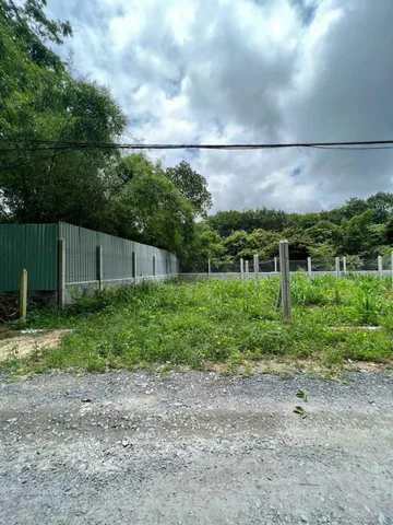0909 044 186. Bán đất 260m² có sẵn 100m² thổ cư ngang 5m giá 320 triệu gần chợ, kcn dân đông