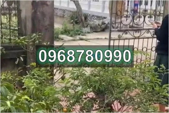 ⭐️CHÍNH CHỦ bán gấp lô đất đẹp tại Châu Giang (Duy Tiên, Hà Nam), nay là P.Duy Tân, Ninh Bình, 0968780990