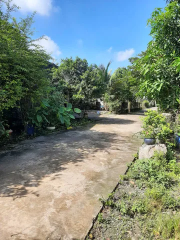 Bán đất 255.6m² có sẵn 100m² thổ cư, ngang 8m giá 1.55 tỷ tại Phường Tân Uyên, cạnh DDT746 và sông Đồng Nai