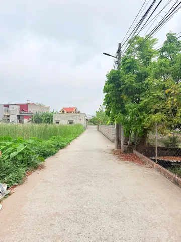 Bán đất 57,4m² full thổ cư ngang 4,4m giá 1.15 tỷ tại Phường Nam Đồ Sơn (Minh Đức, Hợp Đức cũ)