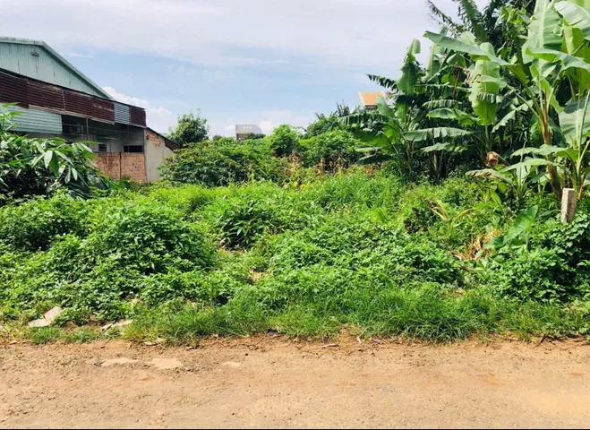 👉 Đất rộng làm nhà vườn mini hẻm Phạm Văn Đồng