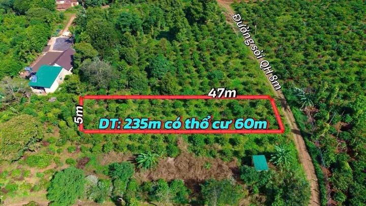 Bán đất 235m² có sẵn 60m² thổ cư ngang 5m giá 199 triệu tại Xã Ea Kiết
